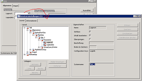 Find the dynamically generated field name in the report dialog class
